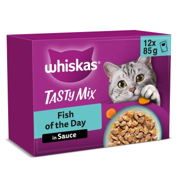 Lila Whiskas Tasty Mix Katzenfutter-Packung „Fish of the Day in Sauce“, 12 x 85 g, graue Katze und Schale mit Fischstücken