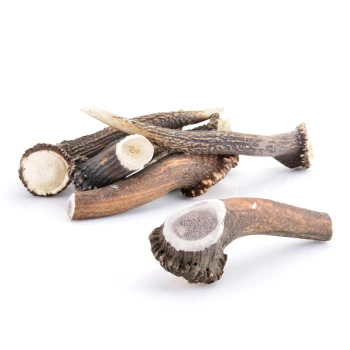 Eine Sammlung von natürlichen Hundekauartikeln aus Geweih, mit verschiedenen Formen und Größen, mit strukturierten Oberflächen und abgeschnittenen Enden.