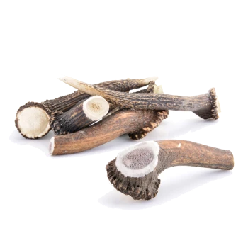 Eine Sammlung von natürlichen Hundekauartikeln aus Geweih, mit verschiedenen Formen und Größen, mit strukturierten Oberflächen und abgeschnittenen Enden.