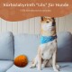 Shiba Inu Hund mit blauer Bandana sitzt auf einer Couch neben einem orangefarbenen Gummispielzeug mit der Aufschrift "Kürbislabyrinth 'Lilo' für Hunde."