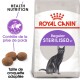 Sac de nourriture pour chat Royal Canin Regular Sterilised avec une illustration de chat noir, avec un texte mettant en avant le contrôle du poids et la taille des croquettes adaptées.