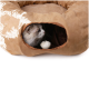 Langhaarige weiß-graue Katze lugt aus der seitlichen Öffnung eines sandfarbenen Donut-förmigen Katzenbetts; mit hängendem Pompon-Spielzeug.