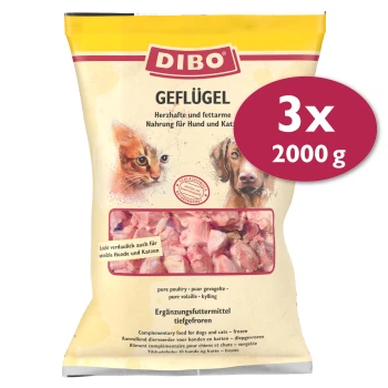 DIBO Geflügel Haustierfutterpaket (2000 g) für Hunde und Katzen, als ergänzendes Tiefkühlfutter gekennzeichnet, mit Bildern einer Katze und eines Hundes.