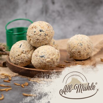 Vier runde Haustierfutterbälle aus natürlichen Zutaten, auf einem Holzbrett mit einem grünen Eimer im Hintergrund präsentiert.