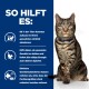 Eine getigerte Katze mit einem blauen Halsband sitzt aufrecht, neben einem Text, der die Vorteile eines Gewichtsreduktionsprogramms für Haustiere hervorhebt, einschließlich Statistiken und Tipps.