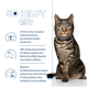 Eine getigerte Katze mit einem blauen Halsband sitzt aufrecht, neben einem Text, der die Vorteile eines Gewichtsreduktionsprogramms für Haustiere hervorhebt, einschließlich Statistiken und Tipps.