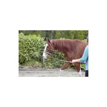 Equimero Equizaum dunkles olivgrün WB (Warmblut)