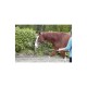 Equimero Equizaum dunkles olivgrün WB (Warmblut)