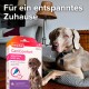 Ein entspannter grauer Hund sitzt auf einem Hundebett neben einer Box mit Beaphar CaniComfort Spot-On, die Stressabbau für Haustiere fördert.