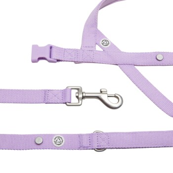 Hundegeschirr-Spazierset flieder S