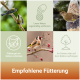 Collage von Vögeln beim Fressen mit deutschem Text, der rät, leere Netze zu entfernen, vor Katzen zu schützen und Futterstellen im Garten oder auf dem Balkon aufzuhängen.