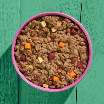 Eine rosa Schüssel gefüllt mit nassem Haustierfutter, das Fleischstücke und bunte gewürfelte Gemüse enthält, auf einer grünen Holzoberfläche platziert.