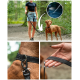 Collage, die eine Frau zeigt, die einen braunen Hund an einer schwarzen Leine führt, Nahaufnahmen von Leinenclip am Halsband und Hand, die die Leine hält.