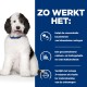 Een fluffy zwart-witte puppy met een blauwe halsband zit links, naast Nederlandse tekst die gezondheidsvoordelen voor urineondersteuning opsomt.
