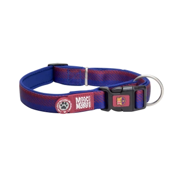 Blau-rotes Hundehalsband mit schwarzer Kunststoffschnalle und Metall-D-Ring, Anhänger mit der Aufschrift 'Max & Molly Urban Pets' und 'Lost? Return Me'.