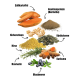 Bild von Zutaten für Tierfutter: Süßkartoffeln, Insektenprotein, Kichererbsen, Hirse, Kürbiskerne, Rosmarin, Kurkuma, Heidelbeeren, beschriftet auf Deutsch.