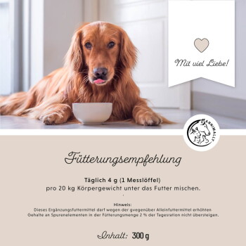 Ein fröhlicher weißer Hund läuft auf Gras, mit Text über die Gelenkgesundheitsvorteile von Grünlippmuschel, MSM, Kollagen und Hyaluron, plus das ANIMALY-Logo.