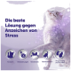 Graue Katze mit lila Funkeln; deutscher Text 'Die beste Lösung gegen Anzeichen von Stress' und fünf Icons mit deutscher Beschriftung.