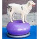 Haustier-Fitnessball