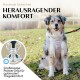 Ein Hund in einem leichten Geschirr sitzt auf Gras am Wasser. Text lautet "Maximale Sicherheit" und "Herausragender Komfort."