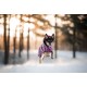 Ein verspielter Hund, der einen lebhaften pink- und lila gemusterten Mantel trägt, springt durch einen verschneiten Wald, umgeben von sanften, verschwommenen Bäumen.
