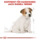 Illustration eines Jack Russell Terriers mit Maßen und Details, beschriftet "Sortiment für Rassehunde: Jack Russell Terrier."