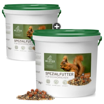Zwei weiße Eimer mit grünen Deckeln von Wildtier Liebe Spezialfutter Eichhörnchenfutter, mit Nüssen und Samen davor verschüttet.