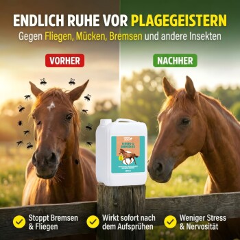 Weißer Behälter des "GREEN HERO Bremsen-EX" Pferdepflegeprodukts, 5L, mit einem Pferdebild und Text auf Deutsch über den Schutz gegen Fliegen und Mücken.