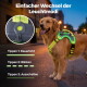 Neon-gelb-graues Hundegeschirr mit Type-C aufladbarem LED-Lichtmodul und USB-Kabel; sichtbarer Text 'Type C Rechargeable'.