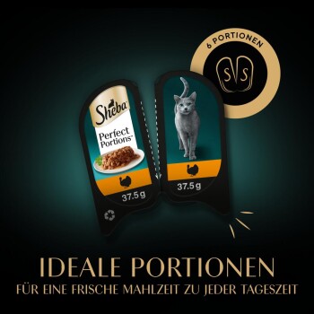 Sheba Perfect Portions Katzenfutterverpackung mit zwei Schalen, die jeweils 37,5 g Futter enthalten, mit einem Bild einer grauen Katze und Text auf Deutsch.