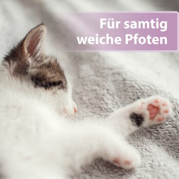 Schlafendes Kätzchen auf einer weichen grauen Decke, rosa Pfotenballen sichtbar; überlagernder Text 'Für samtig weiche Pfoten'.