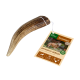 1246993_1.jpg