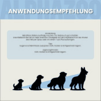 Eine Gruppe in einem Online-Haustiergeschäft mit zwei Hunden. Text: "ES WIRD ERNST. LERN UNS KENNEN" hebt nachhaltige Haustierprodukte aus Dortmund, Deutschland, hervor.
