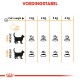 Voedingsschema voor katten met aanbevolen dagelijkse hoeveelheden voedsel op basis van gewicht (3-6 kg) met ideale en overgewicht richtlijnen.