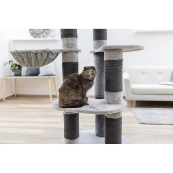 Graue und braune Katze sitzt auf einem grauen mehrstufigen Katzenbaum in einem modernen Wohnzimmer mit Sofa und Bank.