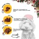 Adventskalender für Hunde mit drei Snacksorten: Huhn, Ente und Lachs. Nährwertangaben und Zutaten aufgelistet.