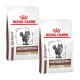 Zwei Beutel Royal Canin Expert Gastrointestinal Katzenfutter, beschriftet mit "Fibre Response", mit einer Katzenillustration und einem roten Kronenlogo.