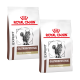 Zwei Beutel Royal Canin Expert Gastrointestinal Katzenfutter, beschriftet mit "Fibre Response", mit einer Katzenillustration und einem roten Kronenlogo.