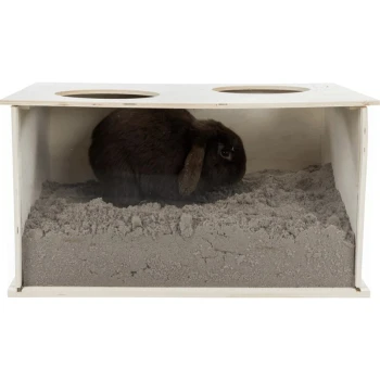 Buddelkiste Ein braunes Kaninchen sitzt in einem Holzgehege, das mit grauem Sand gefüllt ist und zwei runden Öffnungen oben hat.