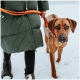 Eine Person in einer grünen Daunenjacke führt einen braunen Hund in einer verschneiten Landschaft und hält eine orange Leine.