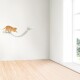 A playful orange cat is leaping across a white, curved cat shelf mounted on a light-colored wall, with a bright window in the background.