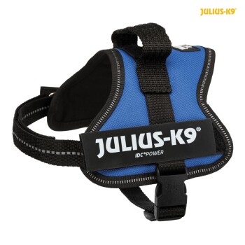 Blaue Julius-K9 IDC Power Hundegeschirr mit schwarzen Riemen und einer stabilen Schnalle, mit dem Markenlogo deutlich sichtbar.