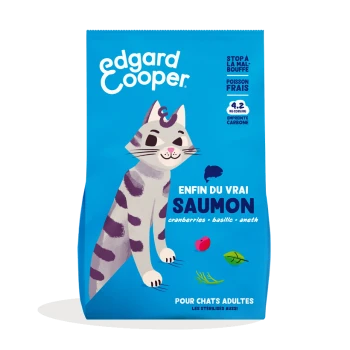 Sac de nourriture pour chats avec un chat illustré ludique sur un fond bleu. Le texte comprend "Edgard Cooper", "Enfin du vrai SAUMON", et les ingrédients.