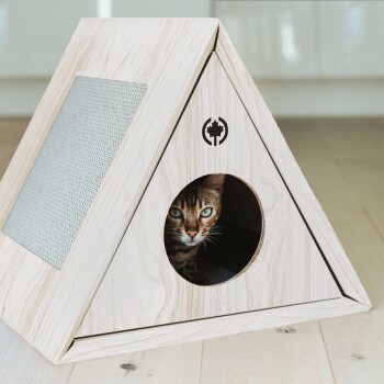 Ein dreieckiges Holzhaus für Katzen mit einer Kratzfläche, mit einer Bengal-Katze, die aus einer runden Öffnung herausblickt.