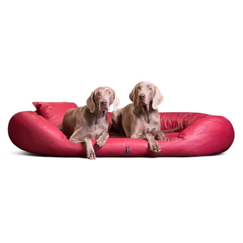 Tierlando ® Orthopädisches Hundebett SAMMY | Pflegeleichtes Kunstleder | L-XXXXL dunkelrot 1,4 m, 30 cm, 1,05 m