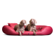 Zwei Weimaraner Hunde liegen auf einem großen roten Haustierbett mit passendem Kissen vor weißem Hintergrund.
