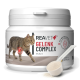 Behälter mit REAVET Gelenk Complex Pulver für Katzen, mit einem Bild einer getigerten Katze, dem Etikett "Hergestellt in Deutschland" und einem Gewicht von 50 g.