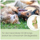 Eine verspielte Katze und ein Hund liegen auf dem Gras, mit dem Text "Für den besonderen Ernährungsbedarf bei schwachem Bindegewebe" und einer gemeinsamen Illustration.