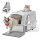 Graue geschlossene Katzentoilette mit Schaufel und Matte; eine getigerte Katze steigt hinaus und eine weitere sitzt in der oberen Öffnung; Halstuch trägt die Aufschrift 'Feandrea'.