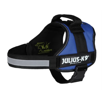 Blaues Hundegeschirr mit reflektierendem Streifen, mit dem Markennamen "JULIUS-K9" deutlich angezeigt.